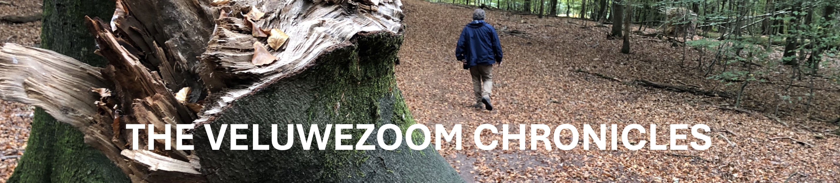 The Veluwezoom Chronicles Banner